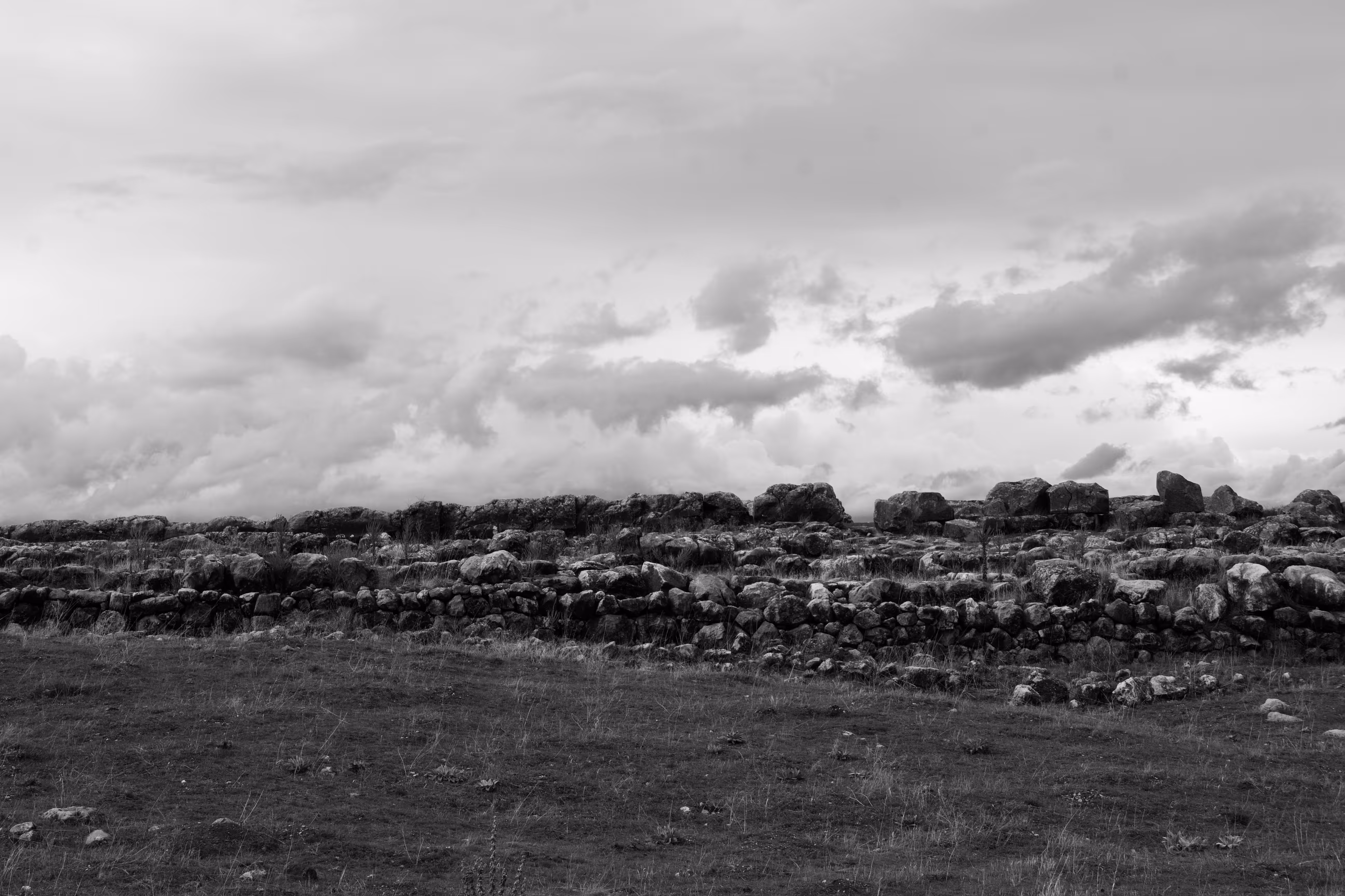 Observation: The Kind of Silence