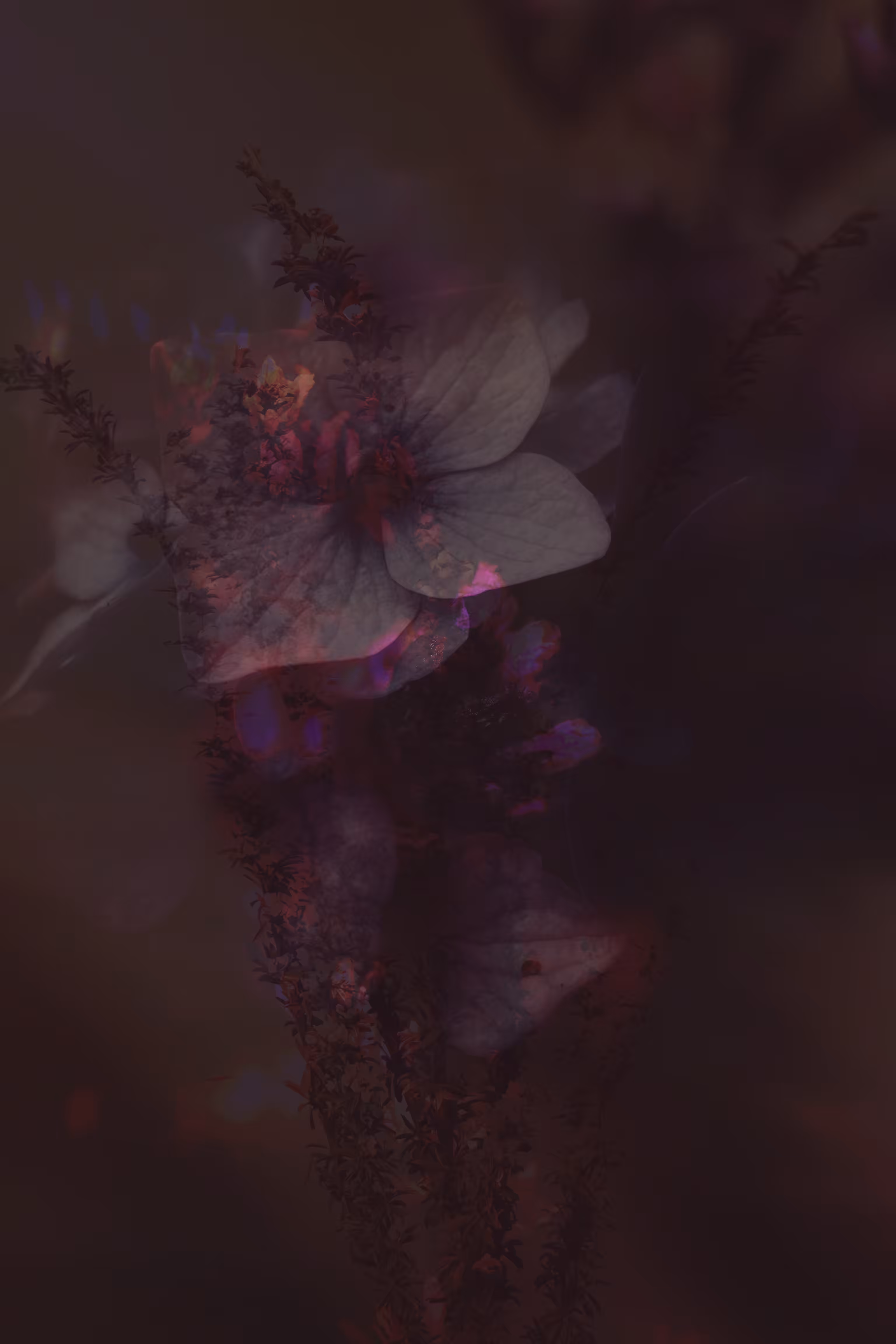 Forgetting my Heart