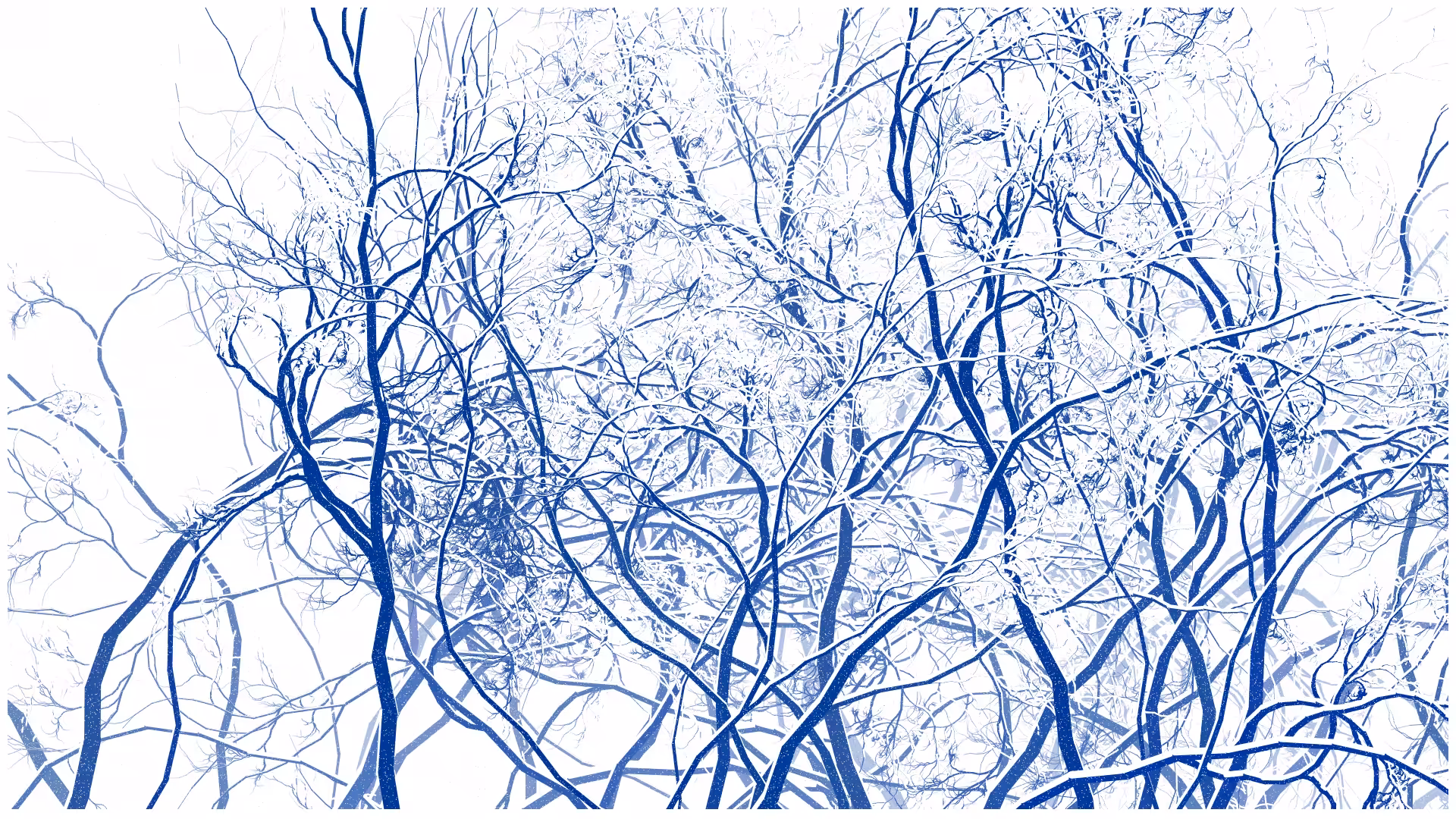 SCHNEEWALD