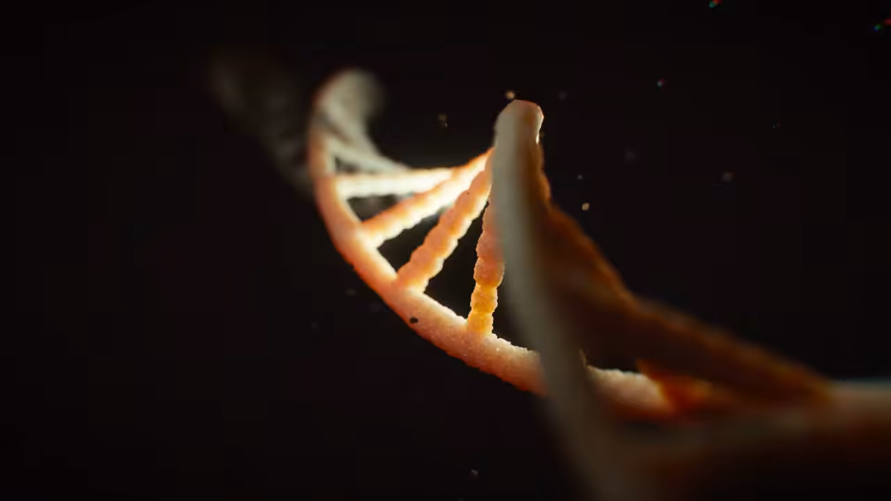 DNA