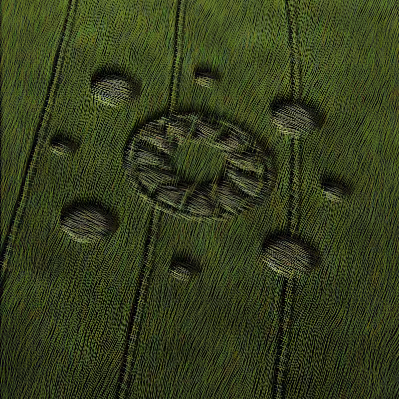 Crop Circles #14