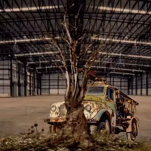 The Tree Wins