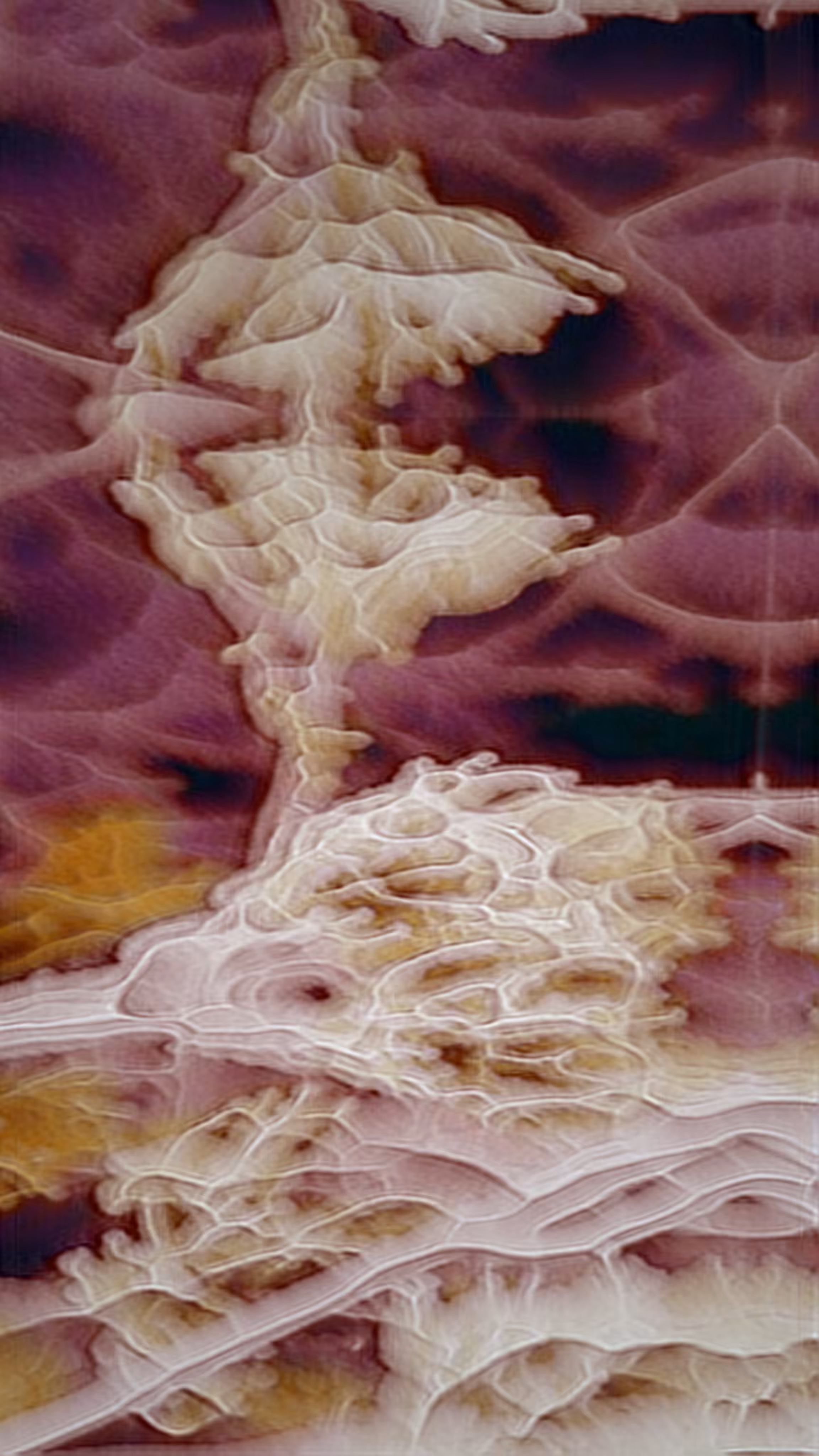 CELL 11