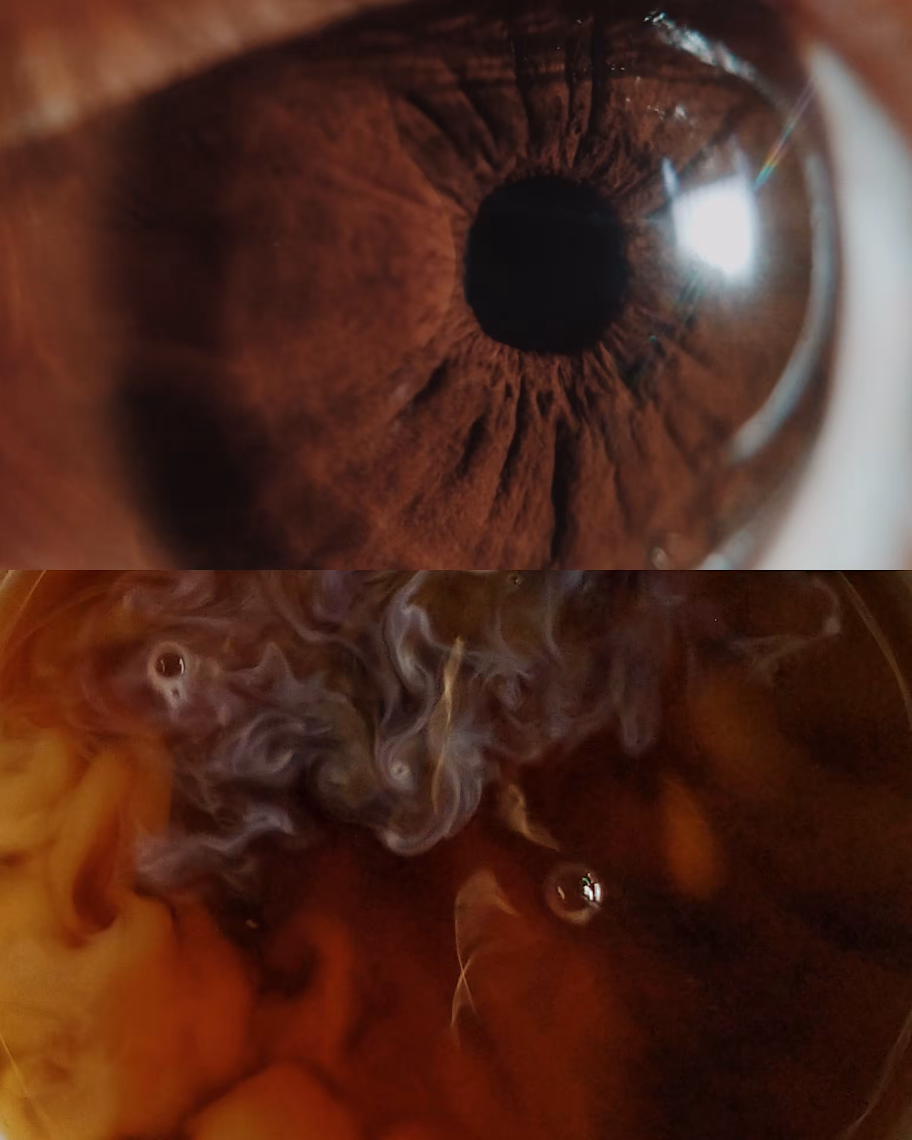 fade into you