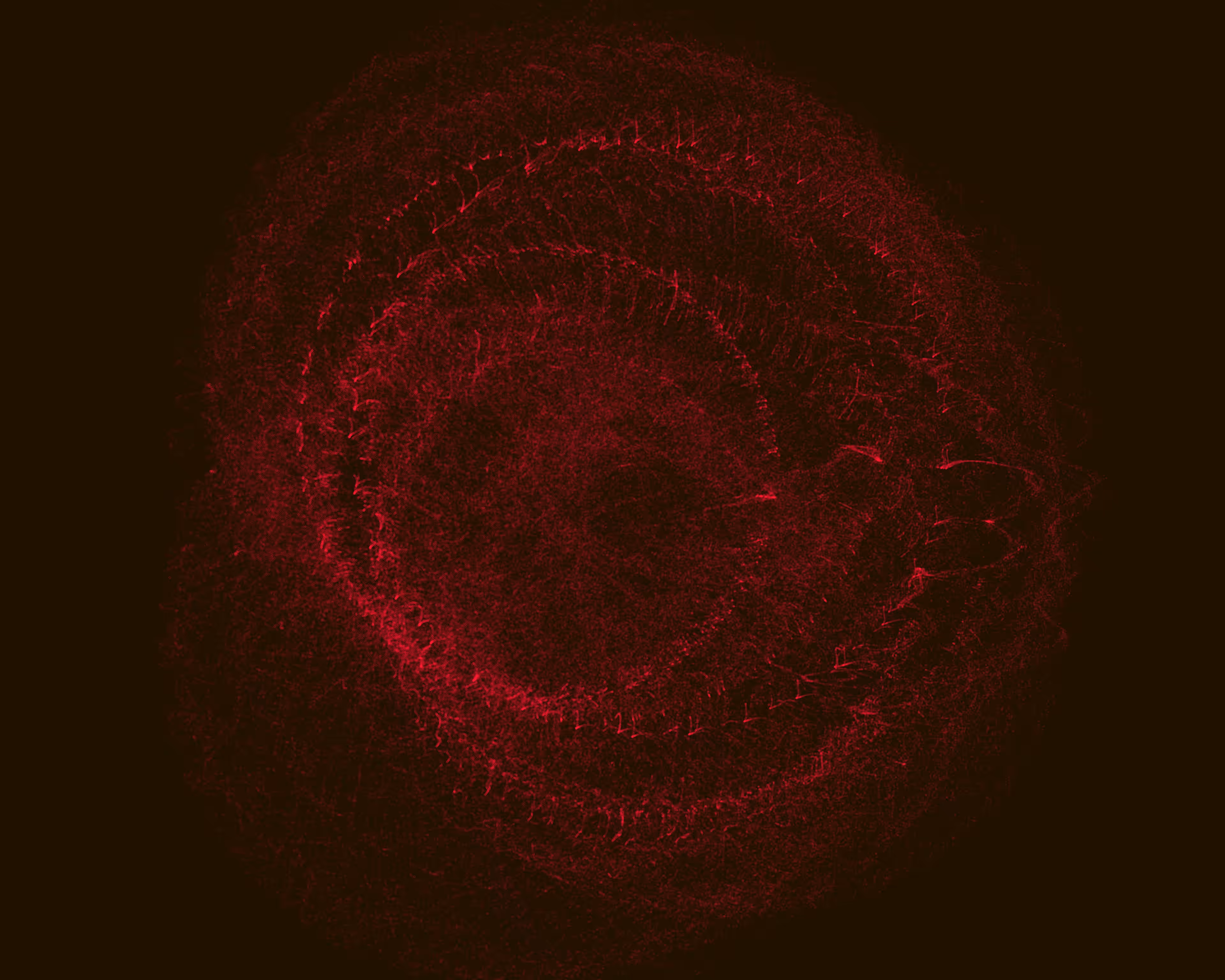 untitled_form___2
