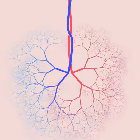 capillary trees #6