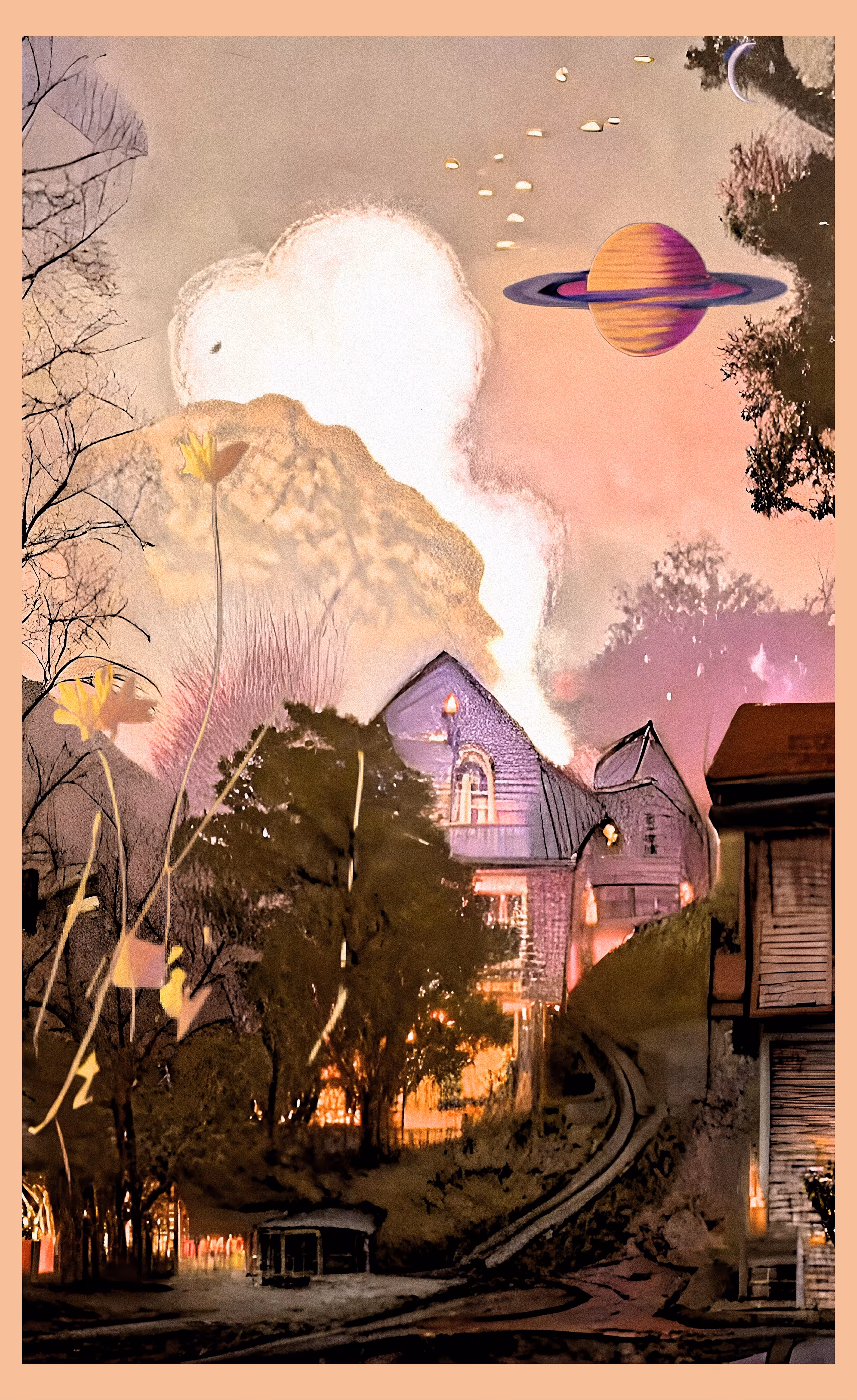 the village
