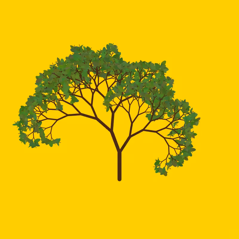 Tree of Life #24