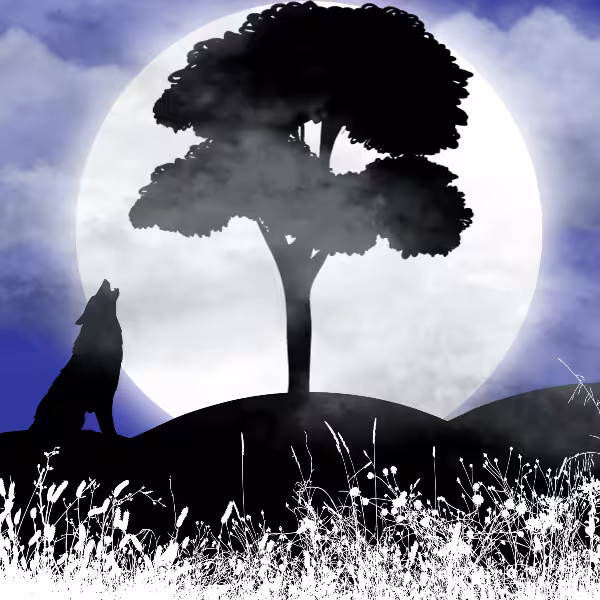 Moon and Life #7