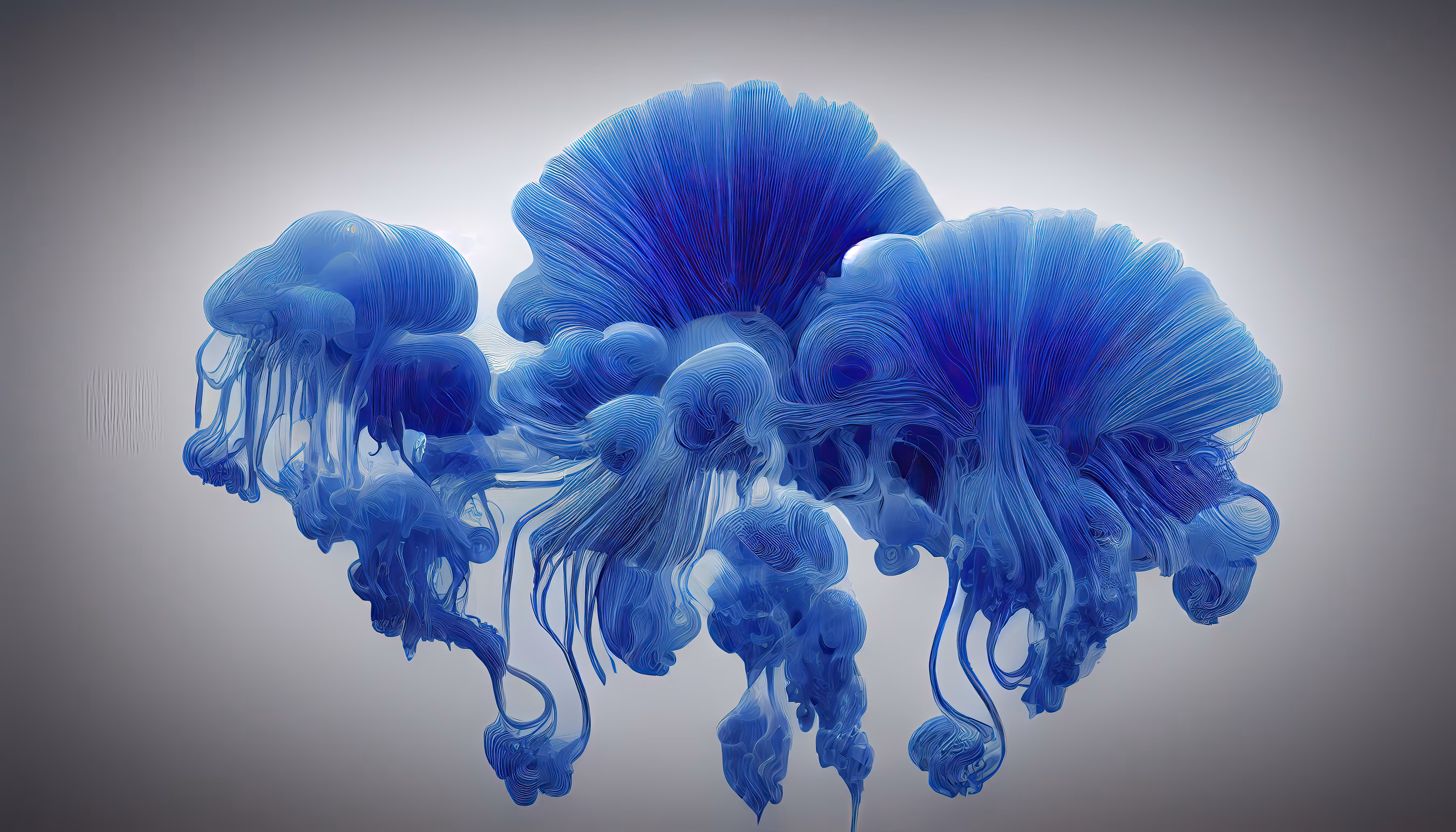 Jelly's Wish . 3