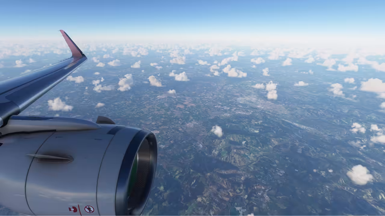 Flyin' High, 2021