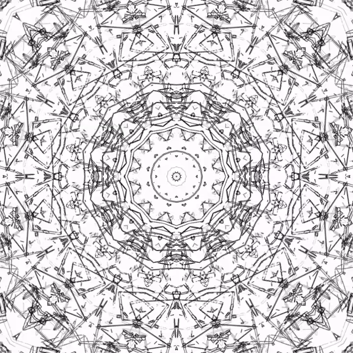 BW 007