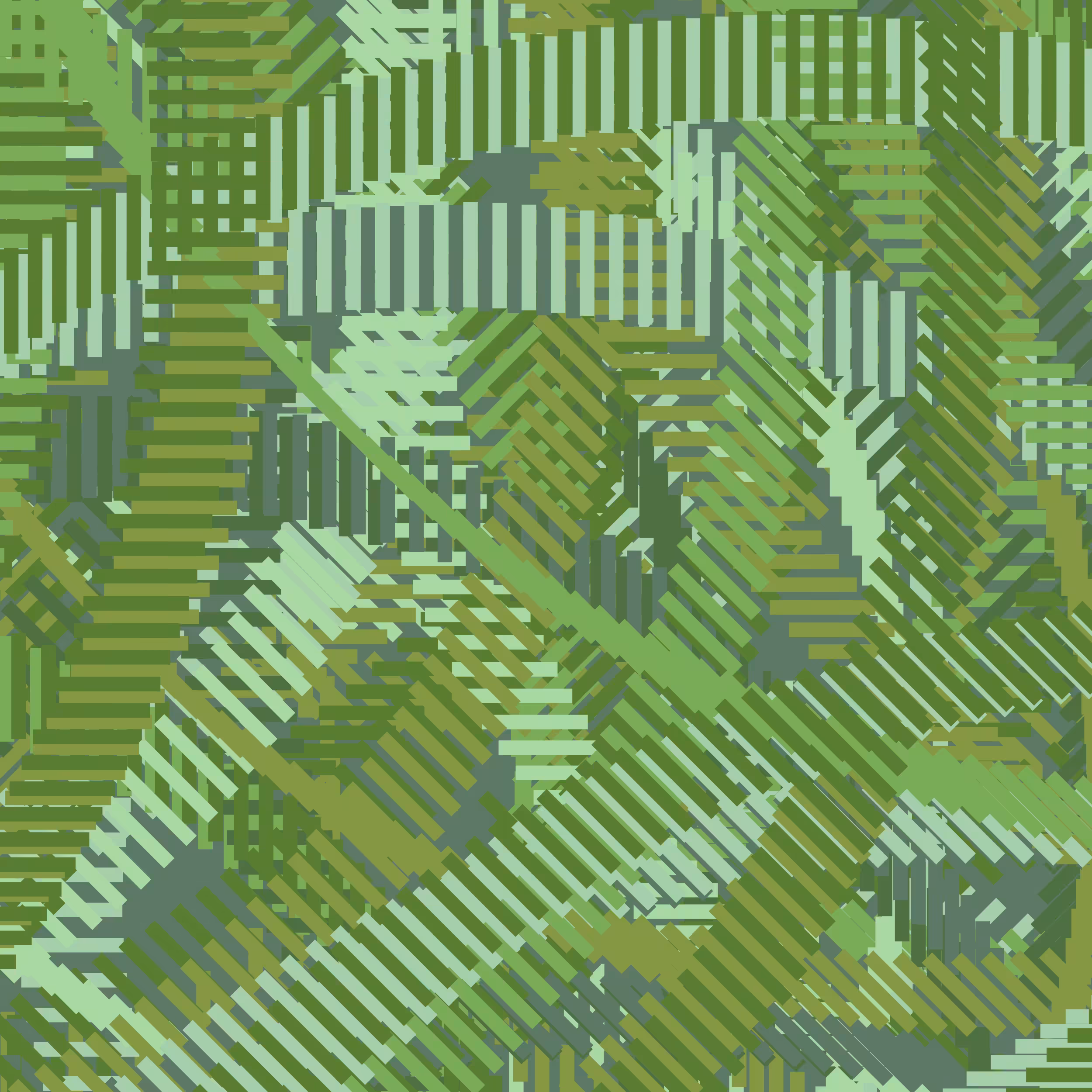 Palm Tree Bandoliers
