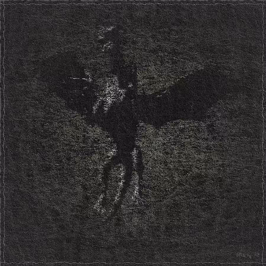 The Spirit of Dragon #47