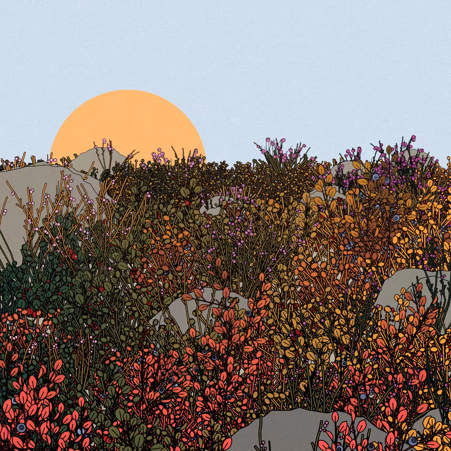 Swedish Forest #79