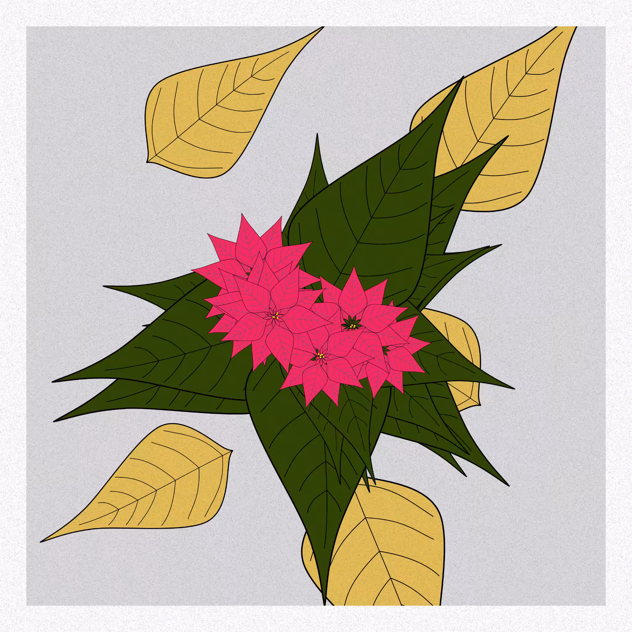 Flowers #238