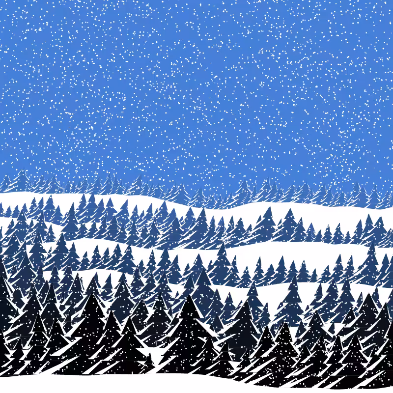 Winterland #49