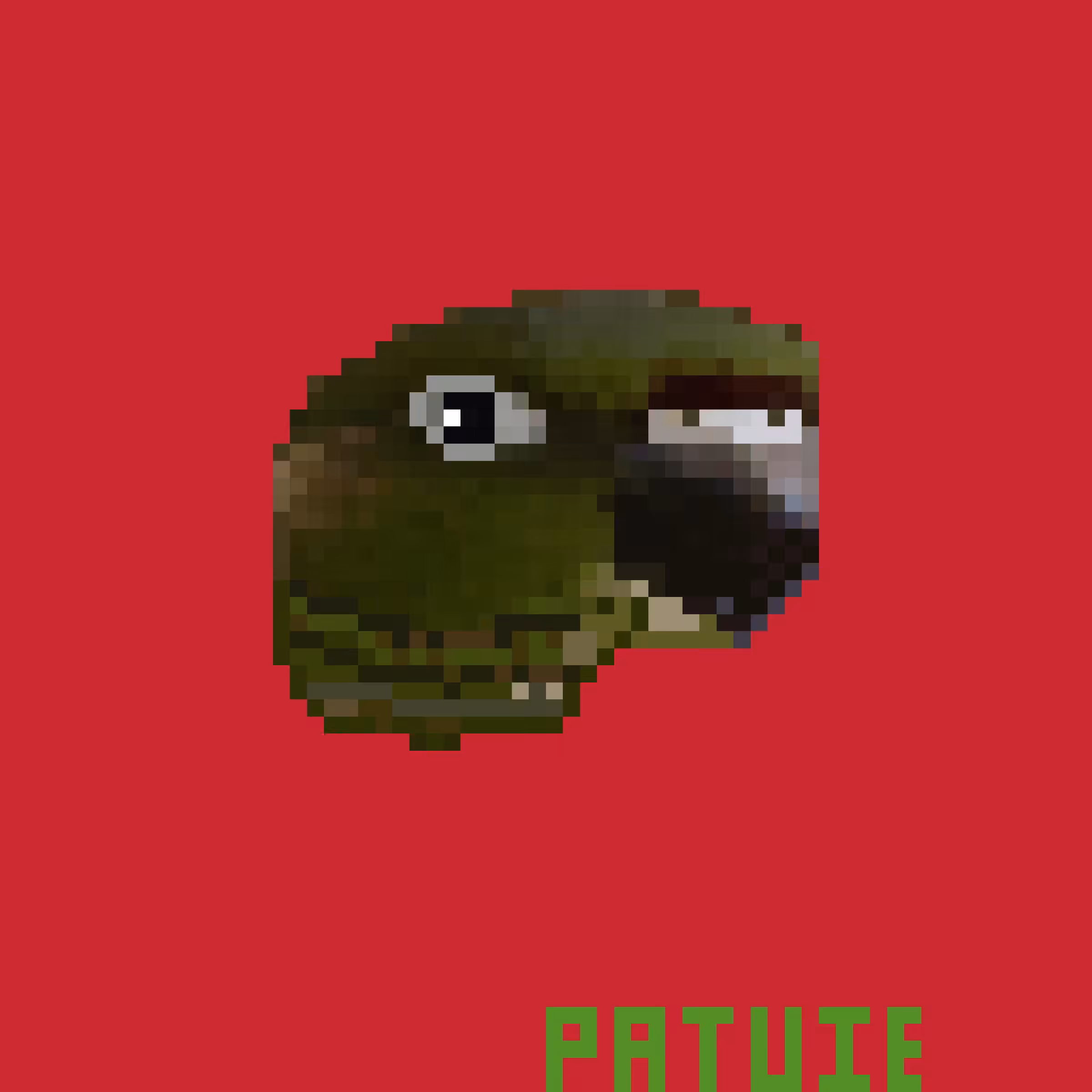 005 PATUIE