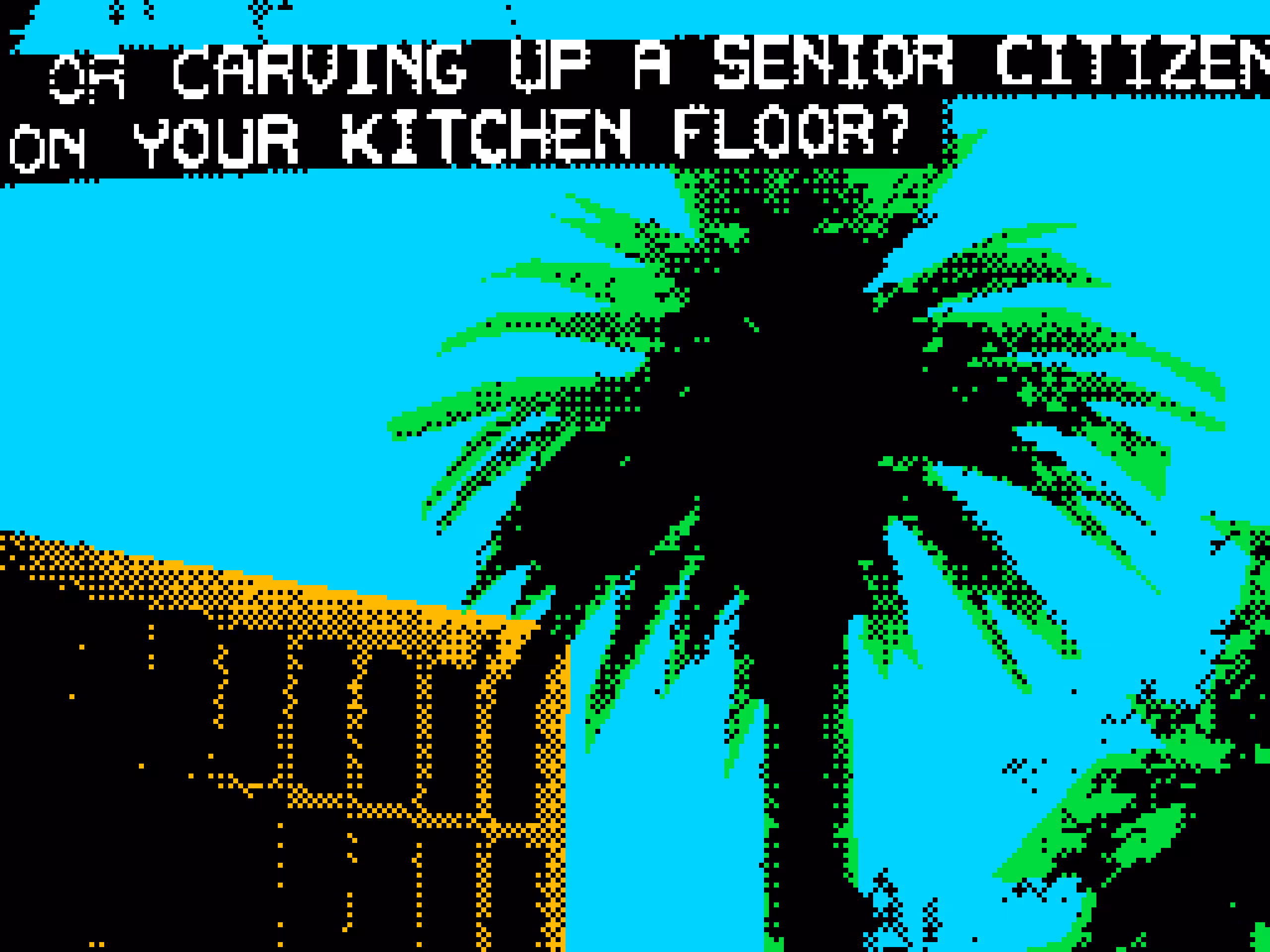 OR CARVING UP A SENIOR CITIZEN ON YOUR KITCHEN FLOOR?