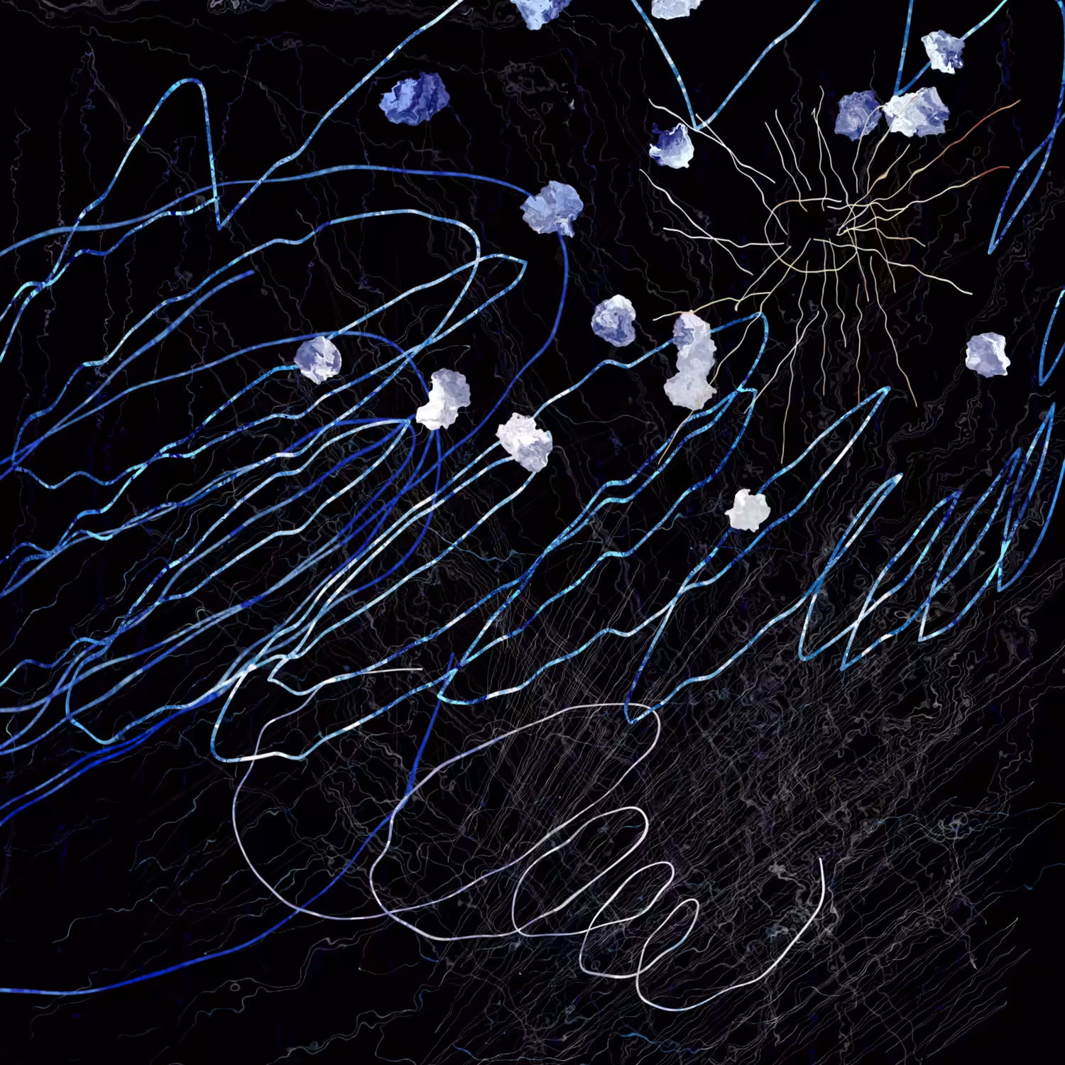 The memory we used to share is no longer coherent