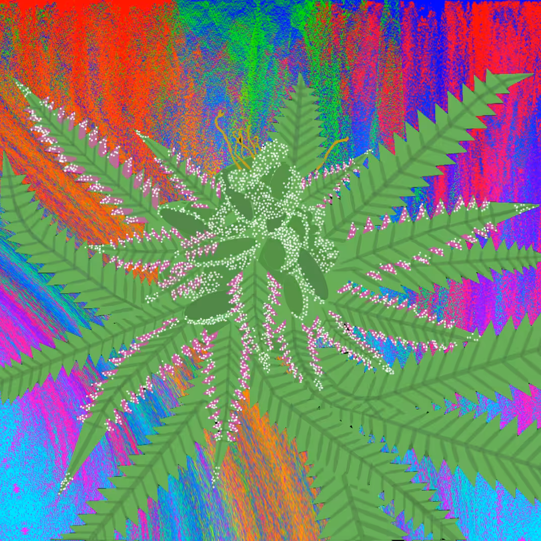 Trippy Blue Dream