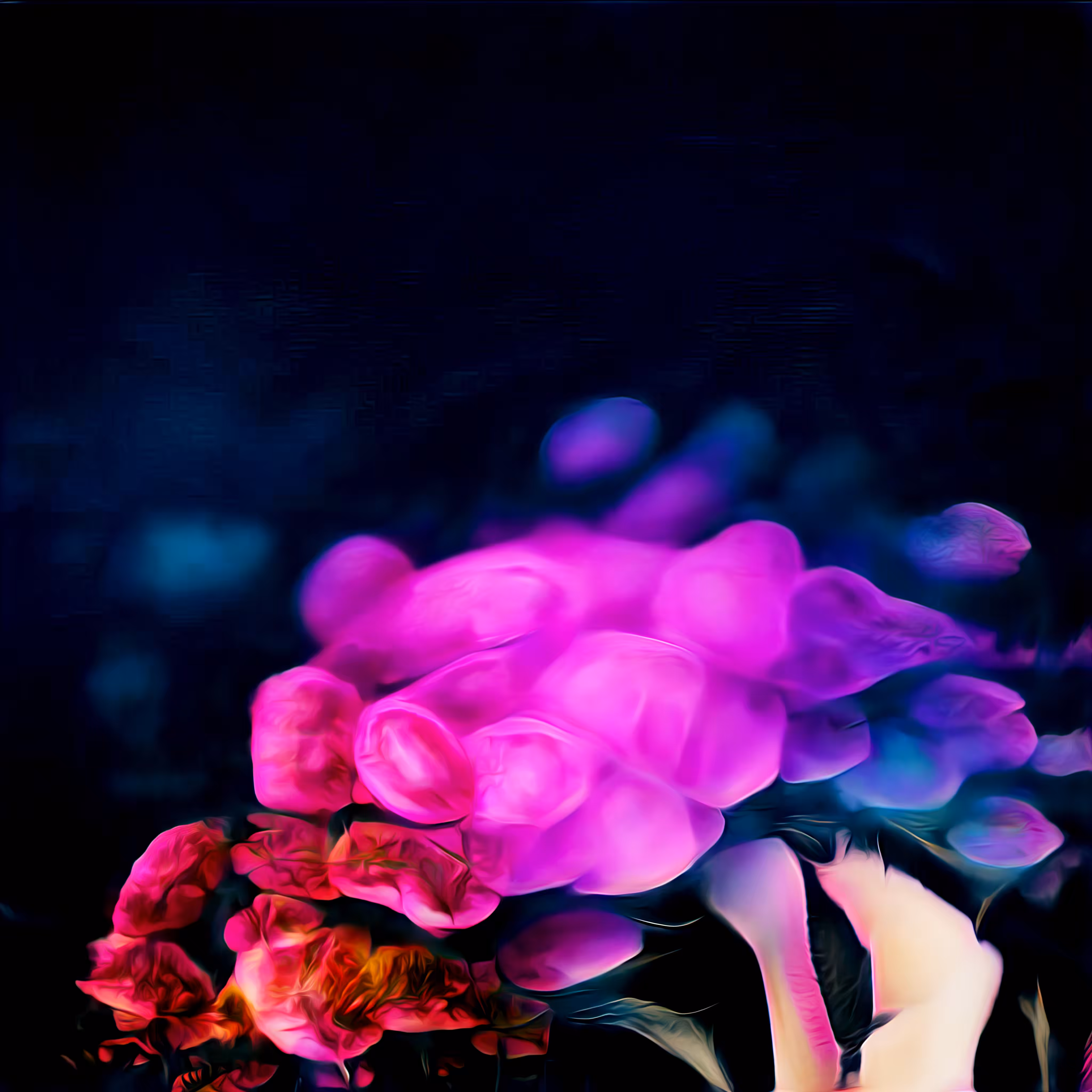 Flower 003