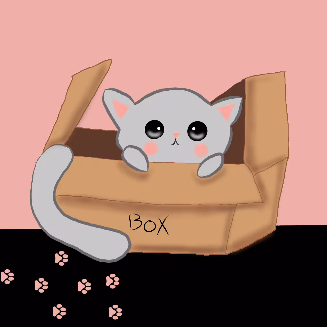 Kitty in the box