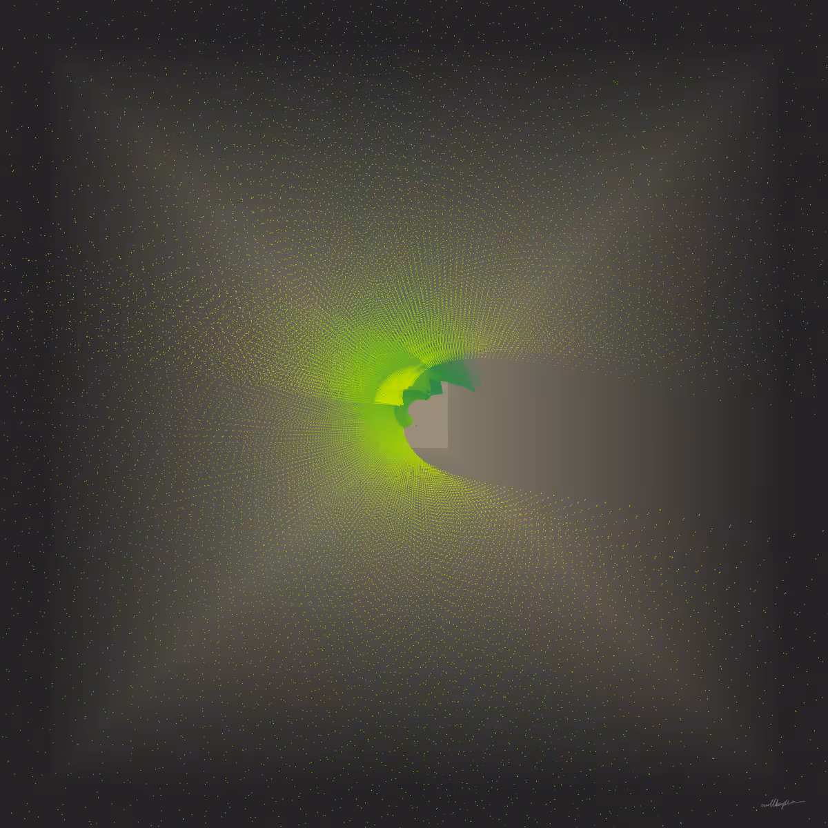 FLUX #12