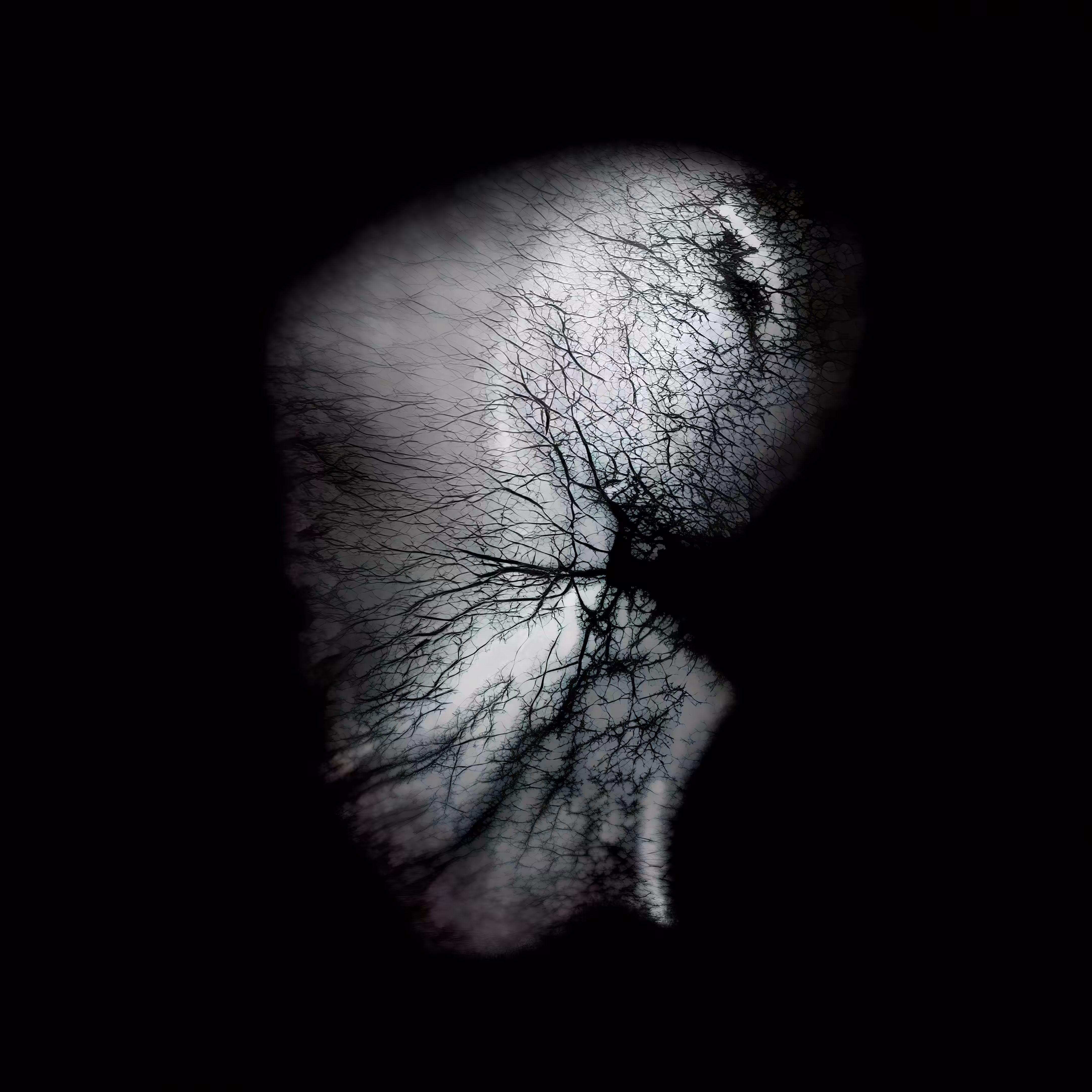 Recherché Remains #3