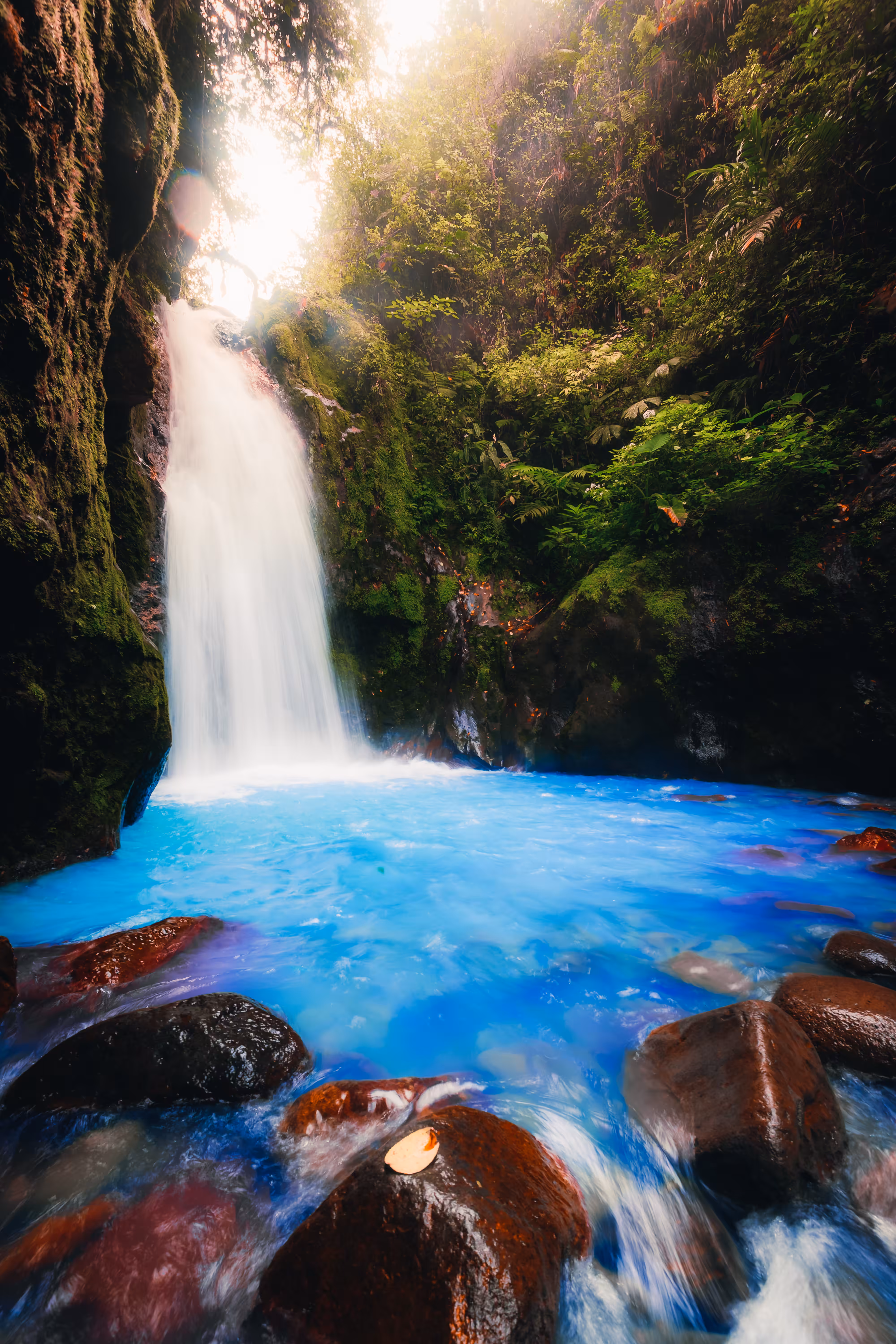 Waterfall Dreams