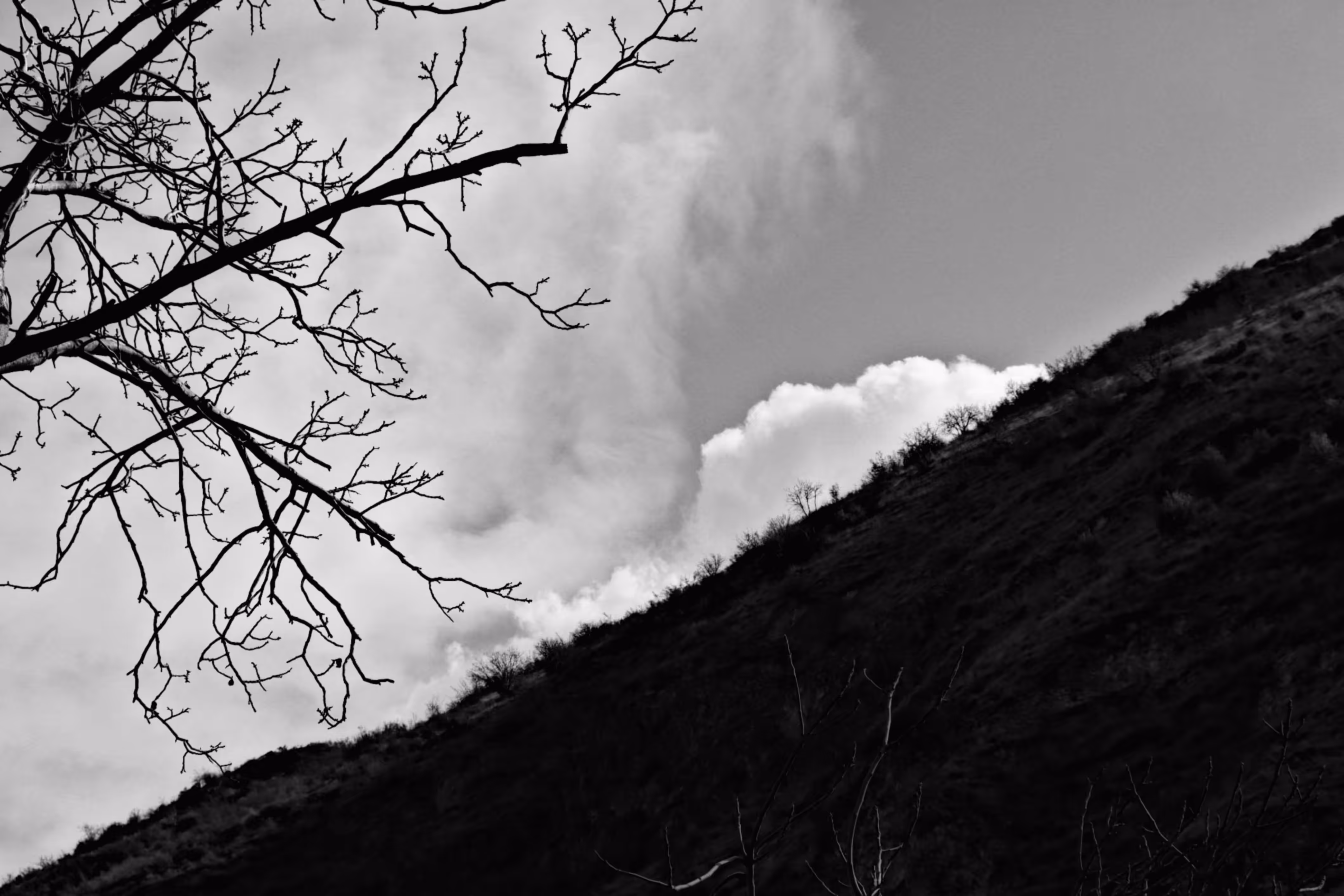 Sombre