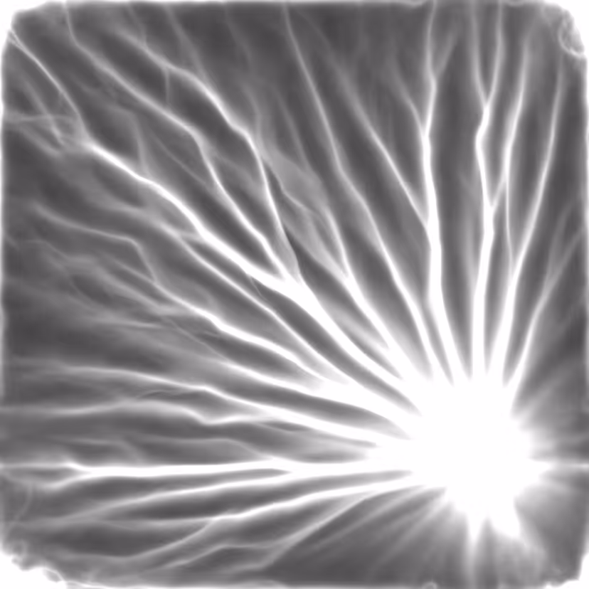 Interactive Physarum