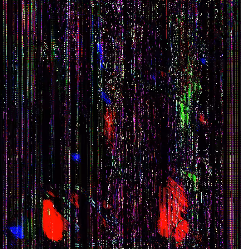 metafox 