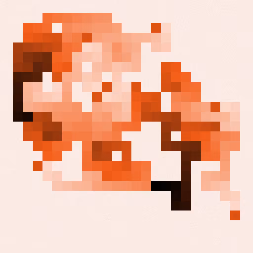 ᴛɪᴍᴍʏ 𝖗𝖔𝖈𝖐𝖘 #1