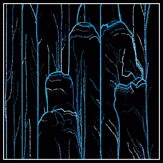 Observers' decline #16