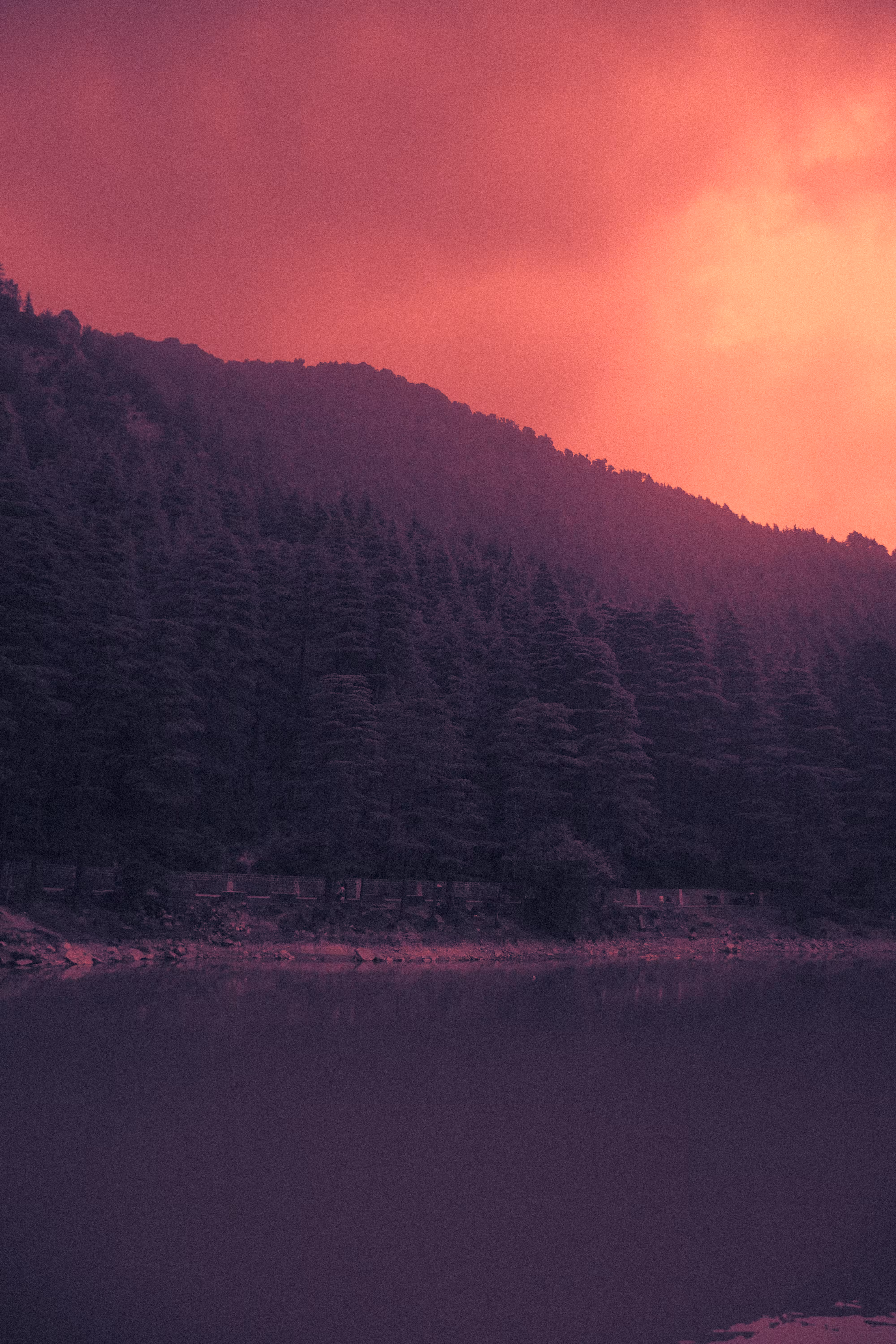 The Realm of Dreams
