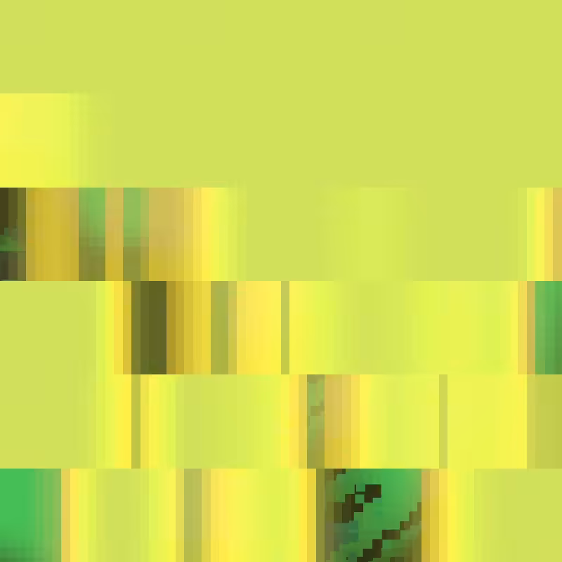 music for imaginary clocks 11