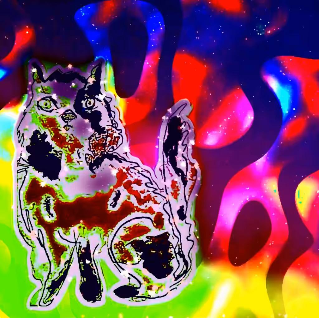 #6-Kitty Sparkle