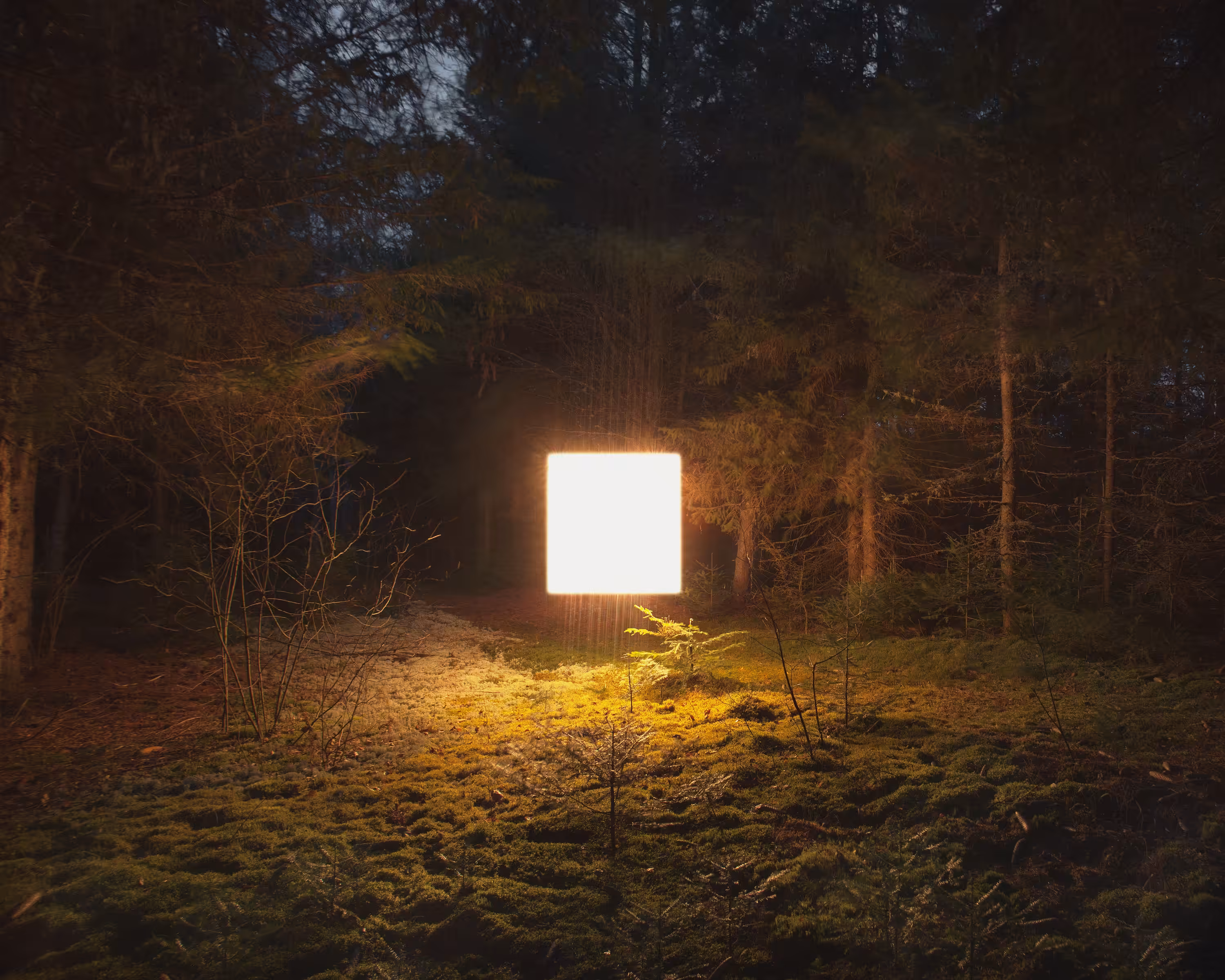 Alternative landscape 009,Quebec,2012