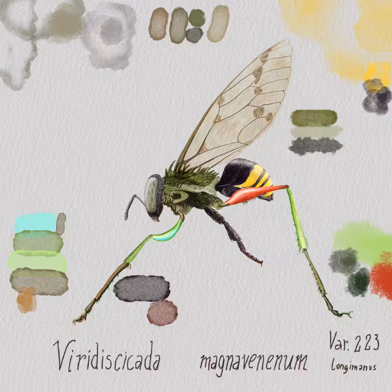 Randomic Brazilian Insects 1 #12