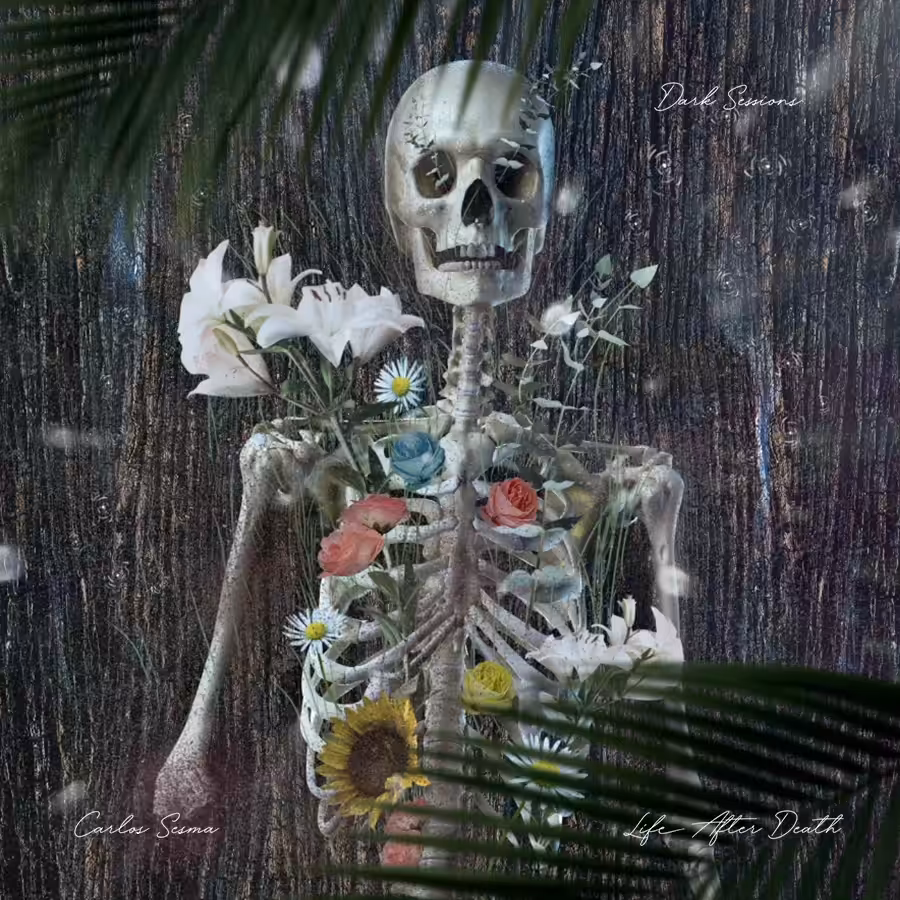 LIFE AFTER DEATH - ANIMATED VERSION