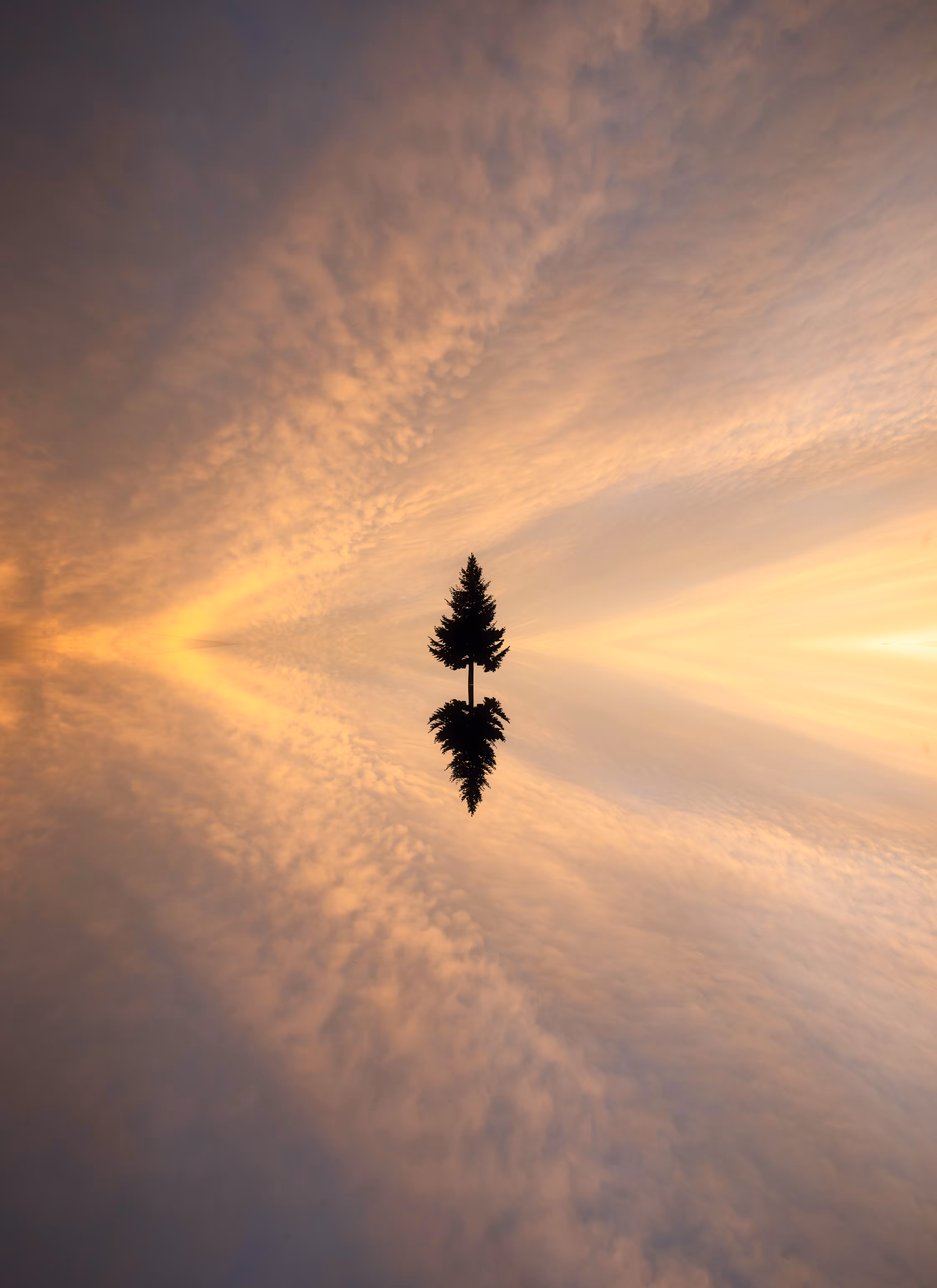 Reflection #75
