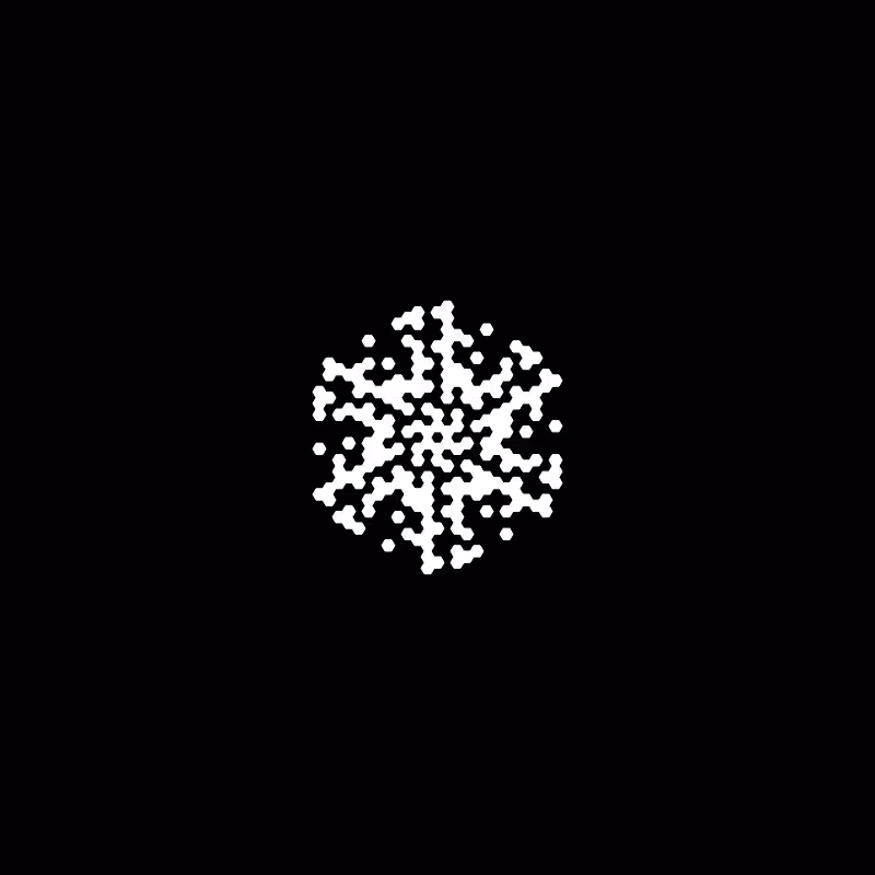 Snowflake #560