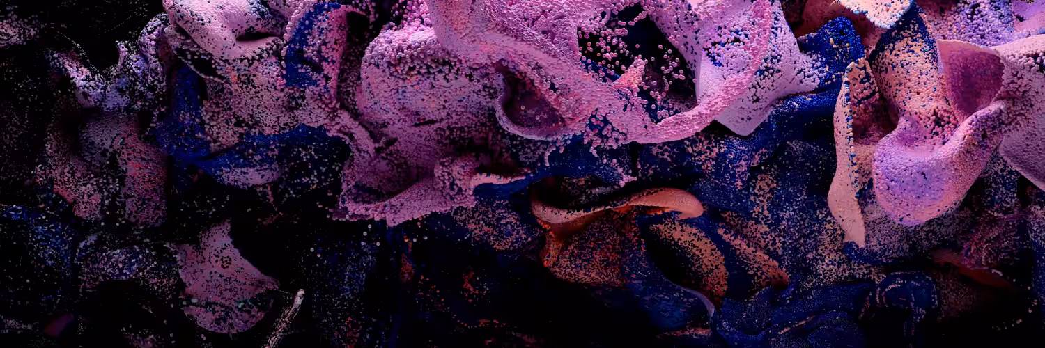 Artificial Landscapes - CA - Immersive Edition - Edition 1 of 3 + 2AP