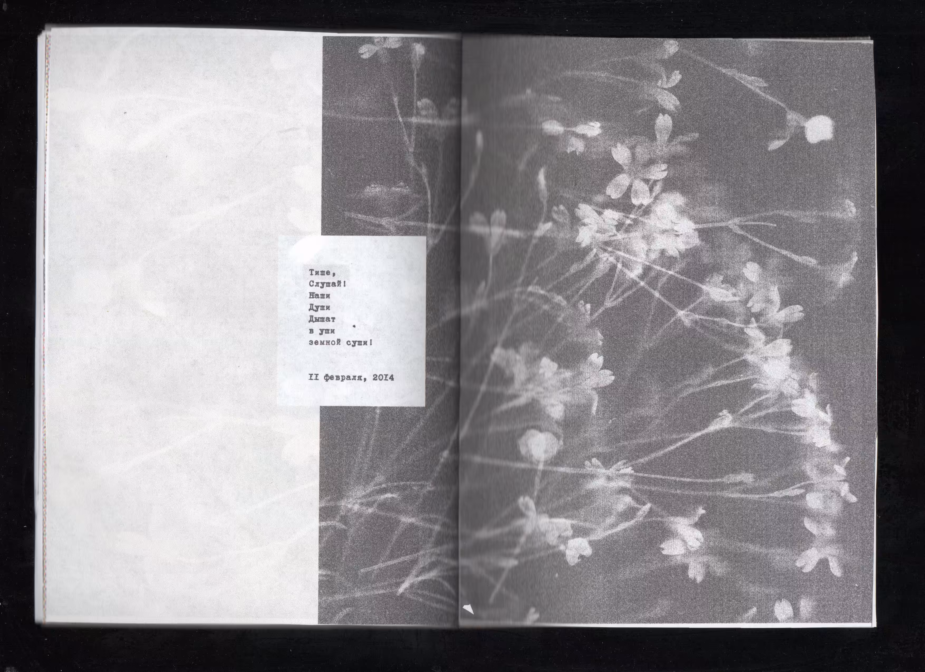 Scanography poster:  Silence