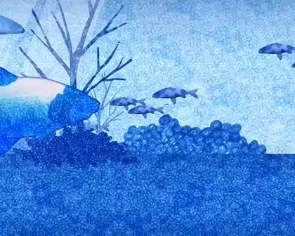 Royal Blue Nature