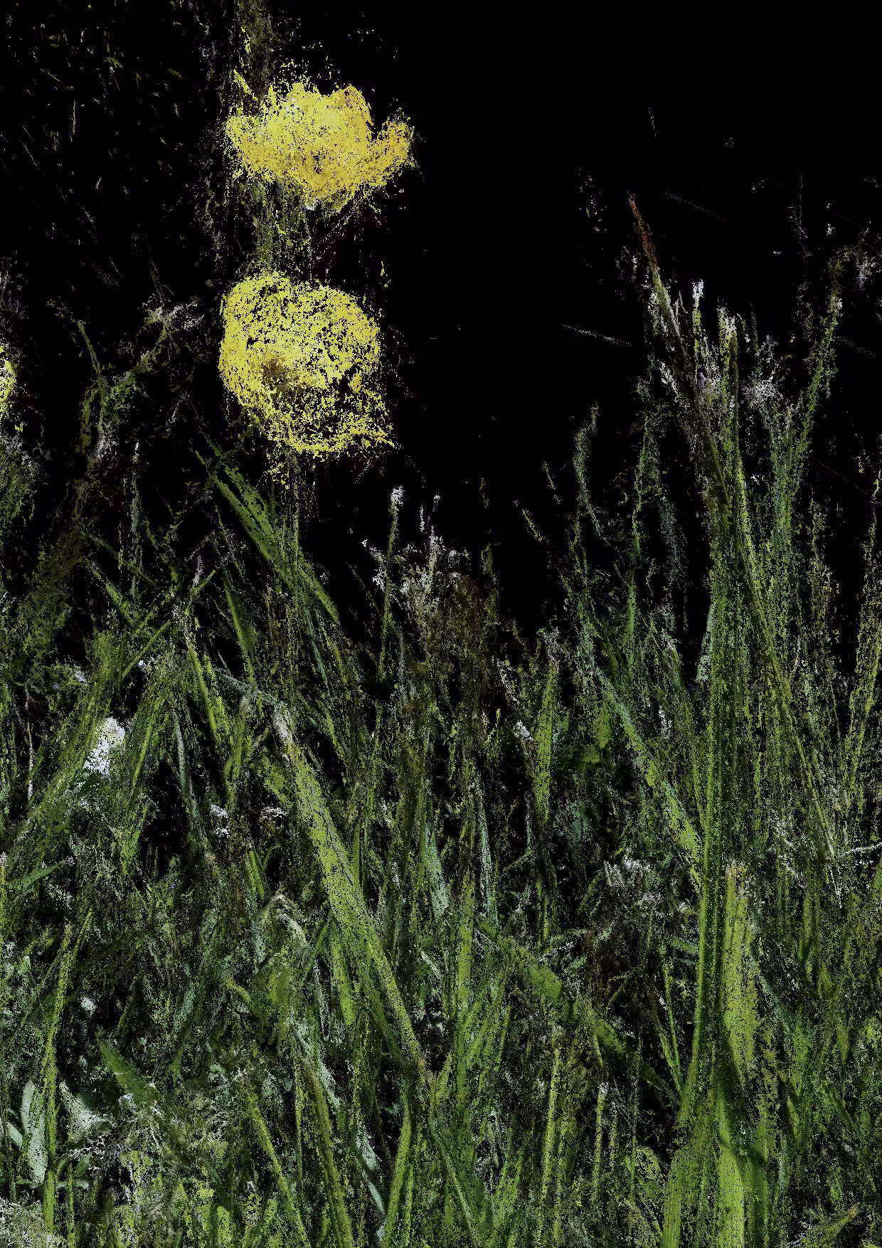Overgrowth 0006