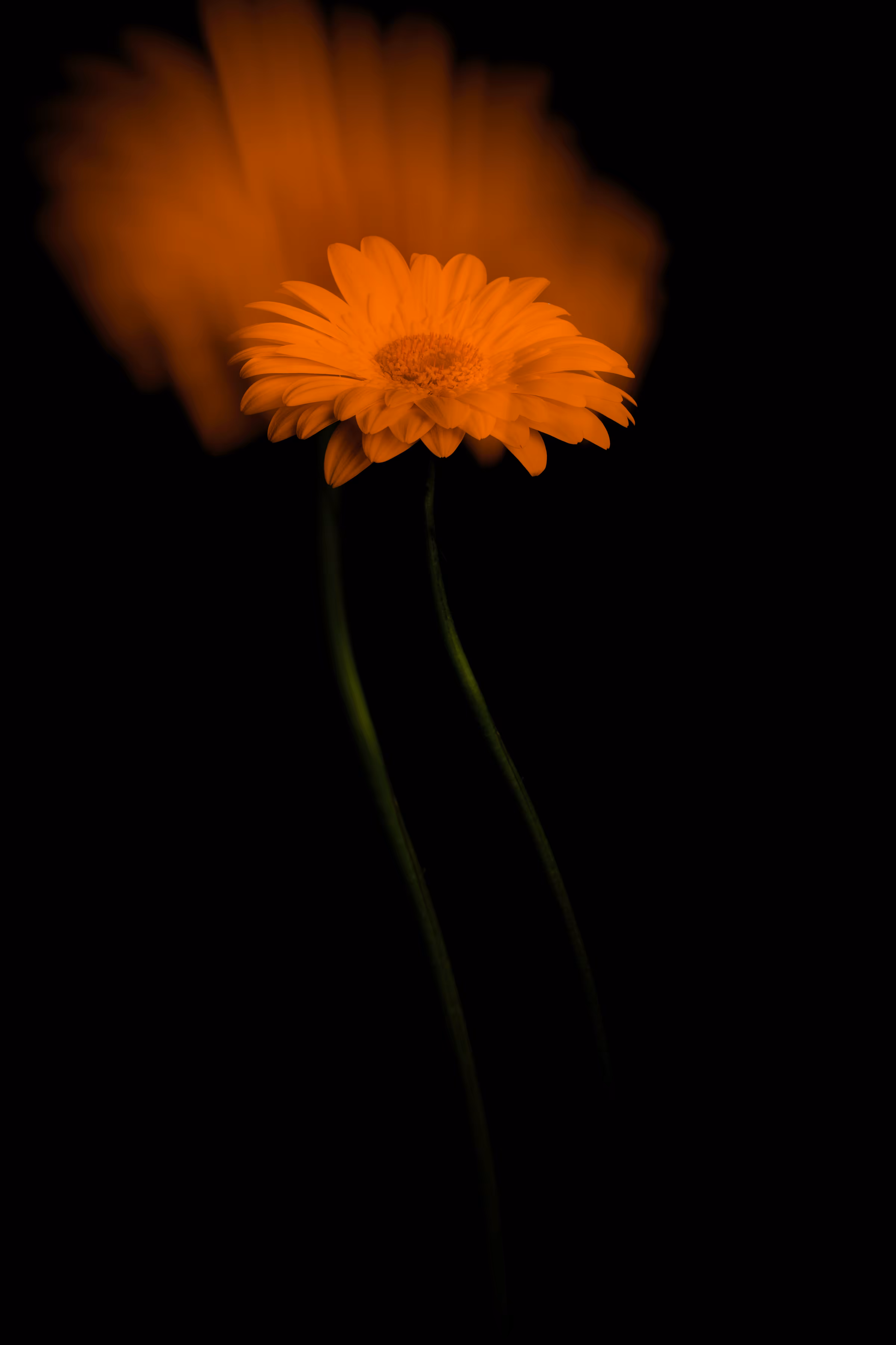 When the soul is separated #2