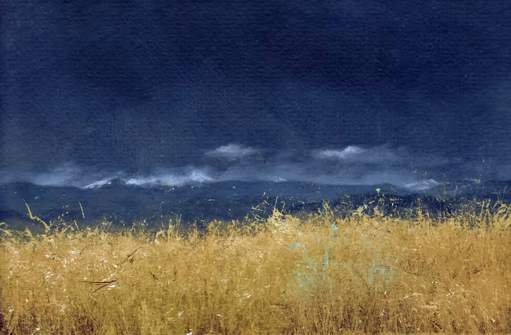 Invasives x Natives by Lisa Lebofsky