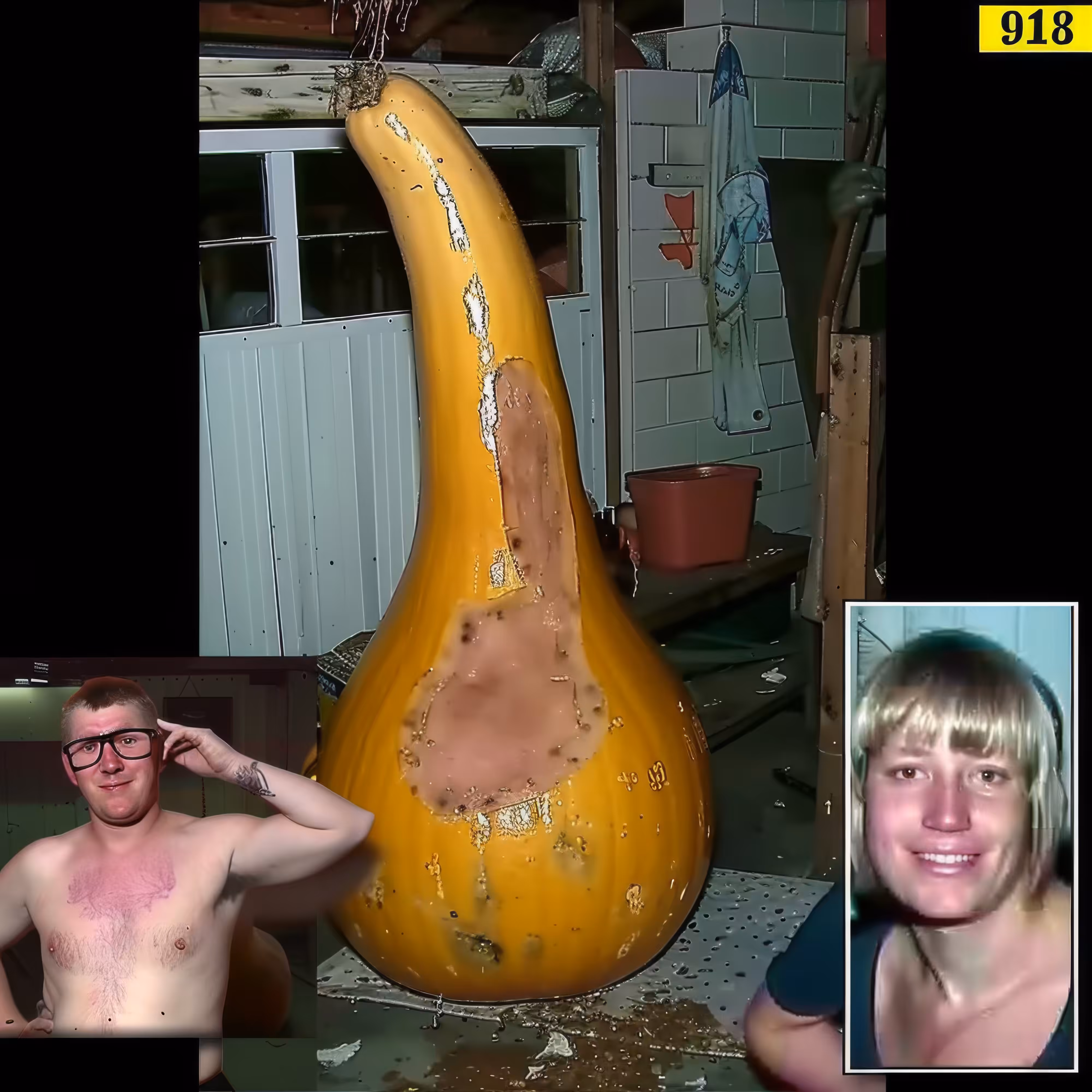 BAD JPEGs: Big-Pumpkin-Profile